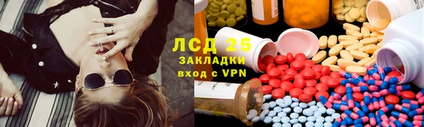 ПСИЛОЦИБИНОВЫЕ ГРИБЫ Кулебаки