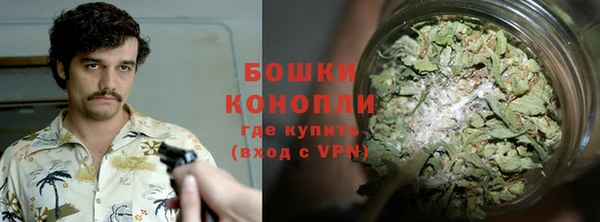 прущие грибы Краснослободск