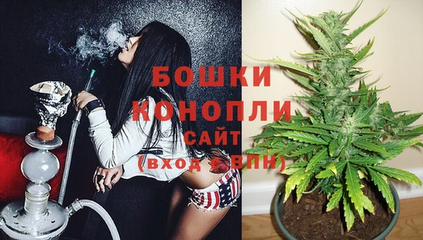 прущие грибы Краснослободск
