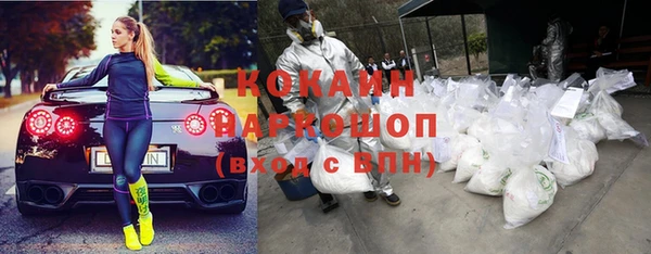 прущие грибы Краснослободск