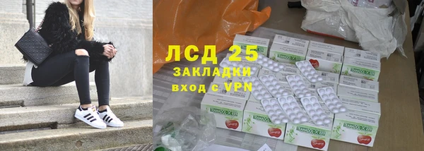 прущие грибы Краснослободск
