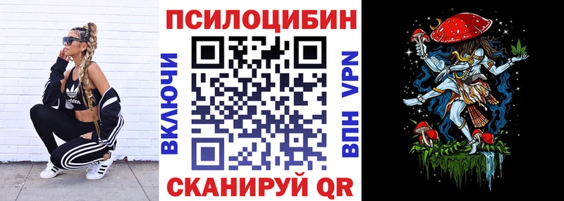 Псилоцибиновые грибы прущие грибы  Купить закладки  Петровск-Забайкальский 